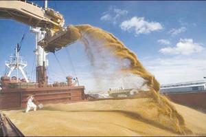 Algérie -  Elle a atteint 1,65 milliard de dollars sur les 5 premiers mois de 2015. Céréales: la facture des importations continue de monter