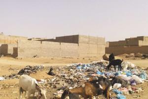 Tamanrasset - Radar:  Arrêt sur image  Les parcours de nos chèvres