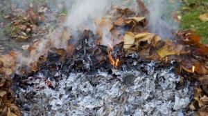 Constantine - Travaux d’extension de l’EHS de Sidi Mabrouk:  Des arbres brûlés dans l’enceinte de la maternité