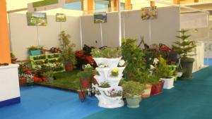 TLEMCEN -  Un salon pour les espaces verts et floralies