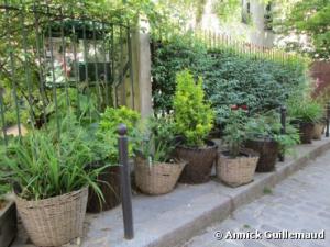 Planète - Les Parisiens invités à végétaliser les espaces publics de la capitale