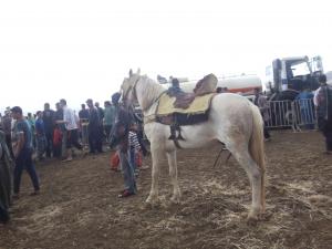 festival yassoul  FANTAZIA A djemaa ouled cheikh MAI 2015