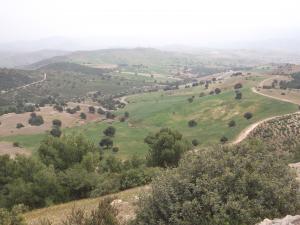 LE SOMMET EL hathmia djemaa ouled cheikh  2015