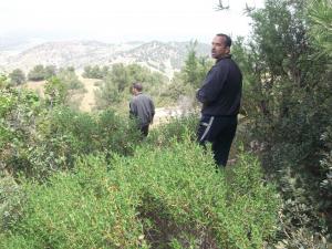 el hathmia djemaa ouled cheikh AVRIL 2015
