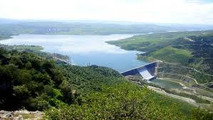 Repeuplement des barrages de MILA: les lâchers de milliers d’alevins