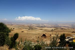 Terres agricoles fertiles vues depuis l'autorote Est Ouest à Khmis Miliana