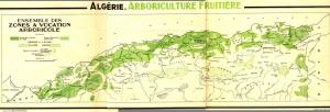 Hennaya (Tlemcen) -  L'arboriculture en attendant la transformation agroalimentaire