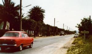 هنا تتواجد عائلات حمداش