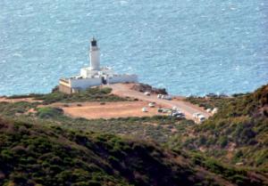 La Marsa (Skikda) - Trophée Cap de Fer de pêche sportive en apnée:  Les Tunisiens en force