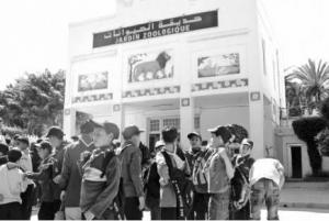 El Hamma (Alger) - Jardin d’essai: Les visiteurs affluent de toutes les wilayas