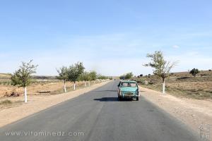 Au volant de la mythique Peugeot 404