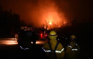 Planète - Les incendies en Californie menacent les majestueux séquoias