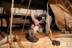 Mouton, Khayma et Vie de bédouins, dans la région de Sfissifa, Wilaya de Naama