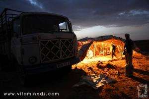 Vie de bédouins, dans la région de Sfissifa, Wilaya de Naama