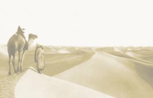 PHOTO ANCIENNE D\'ALGERIE  Félix Jacques Antoine Moulin 1802 -1875