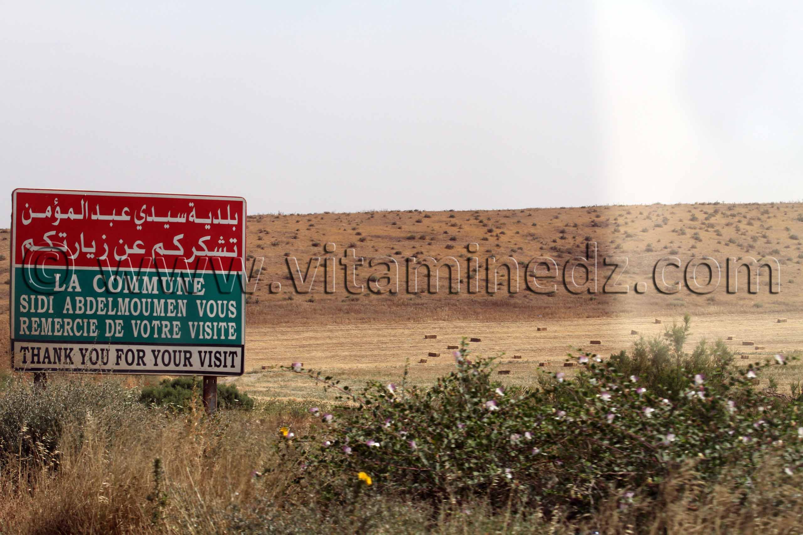 Mascara - Fin Commune Sidi Abdelmoumen