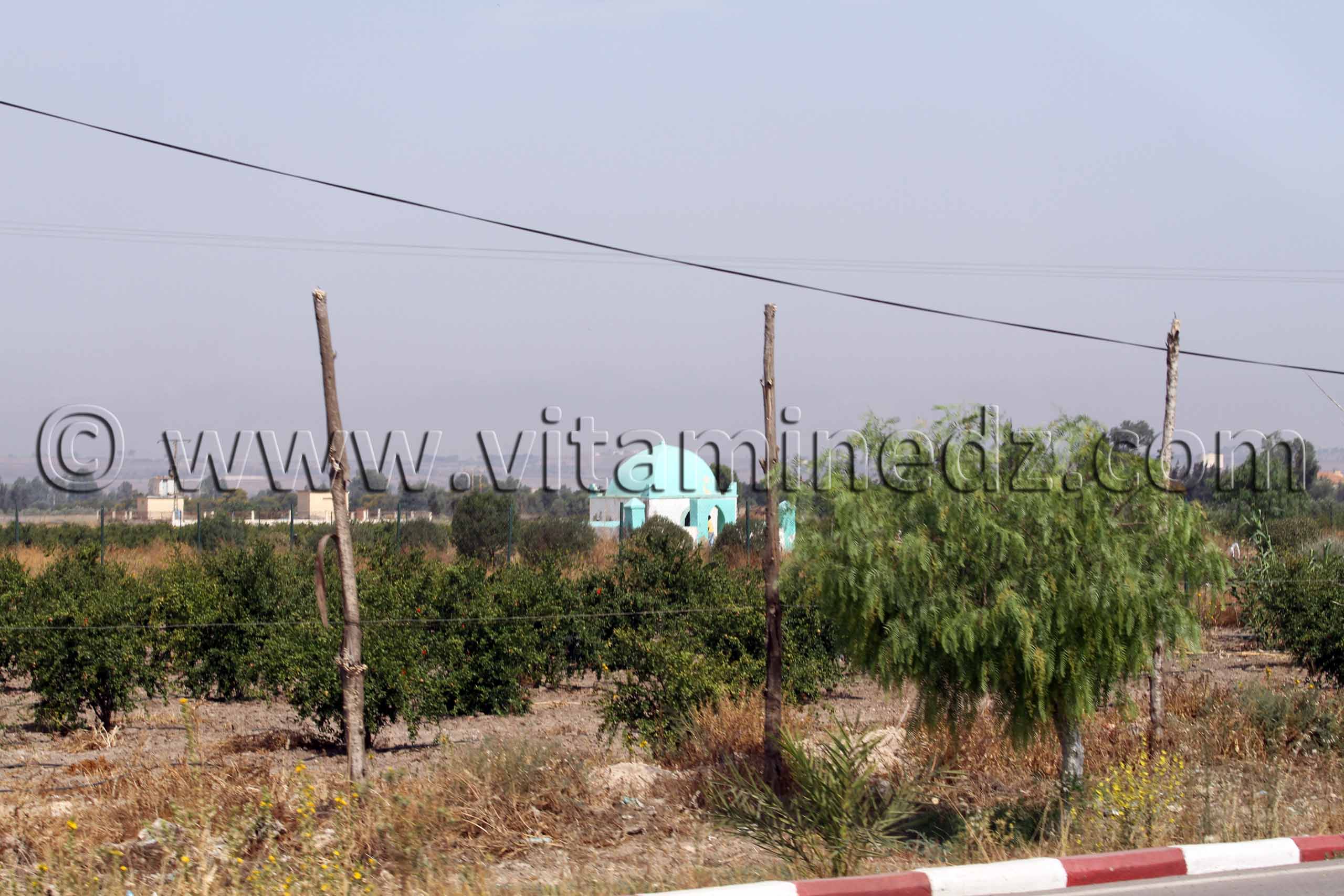 Marabout Mostaganem, commune d'El Hassiane