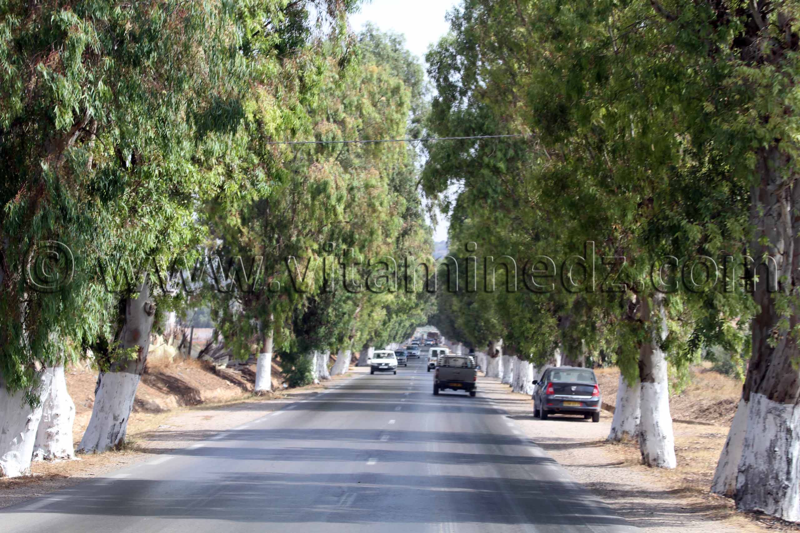 Mostaganem, commune d'Ain Nouissy