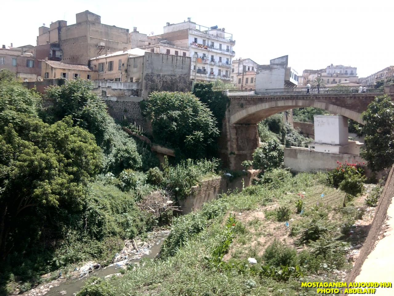 MOSTAGANEM -  Le cours de l’oued Aïn Sefra sera transformé en une oasis
