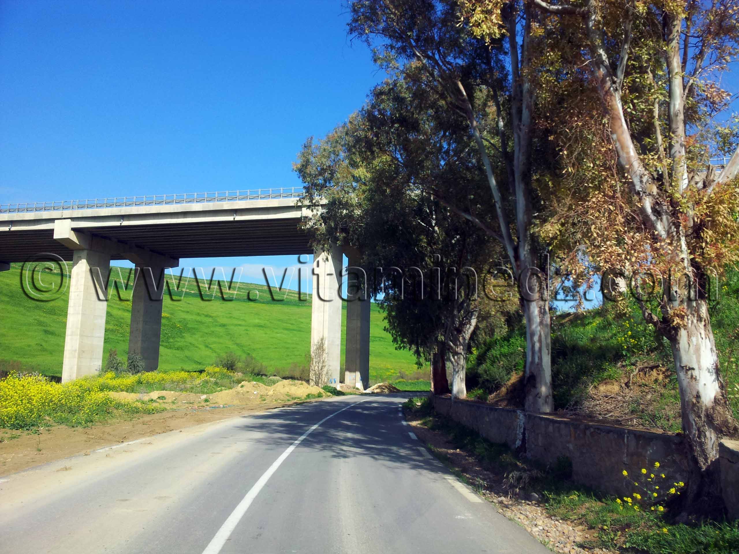 Tlemcen - Ain Temouchent RN2 Sous l'autoroute Commune de Amieur