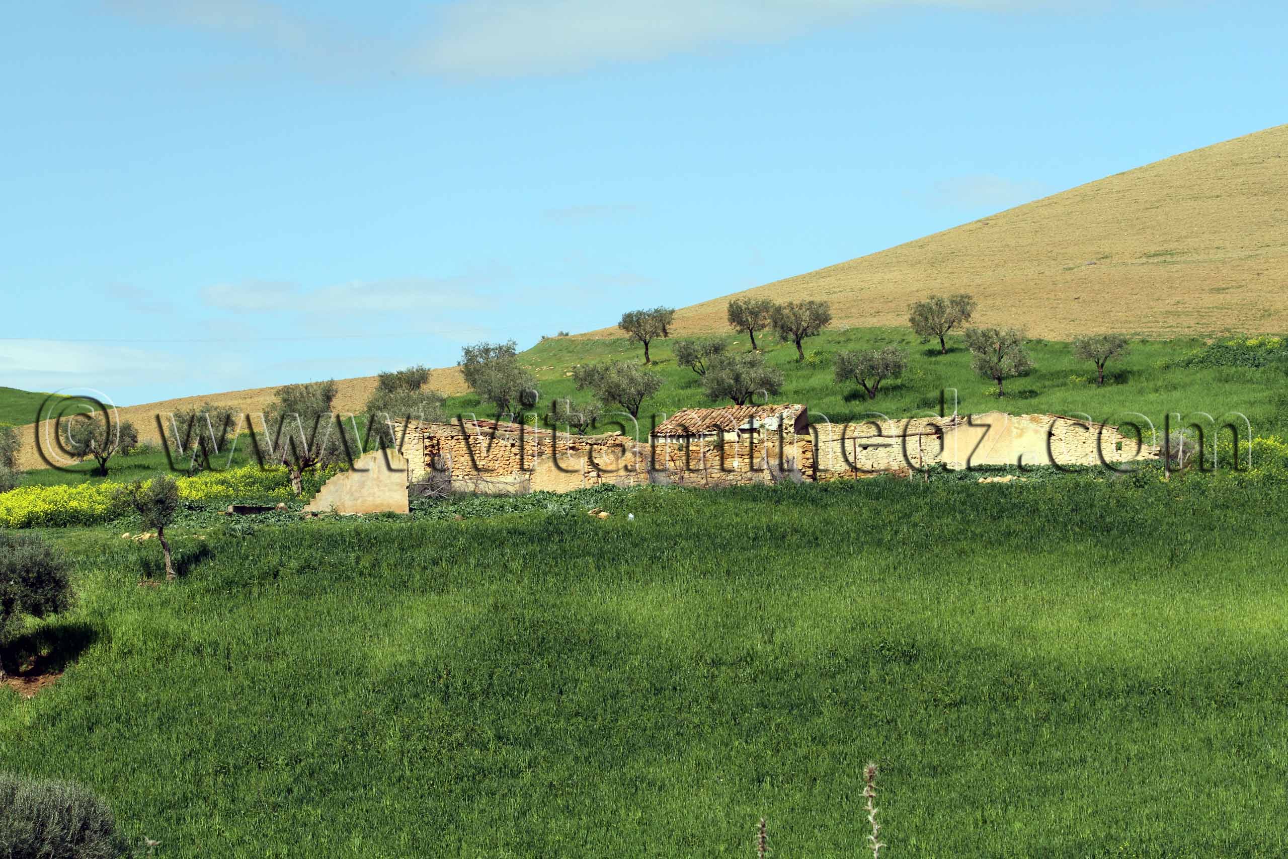 Tlemcen - RN2 Commune de Amieur