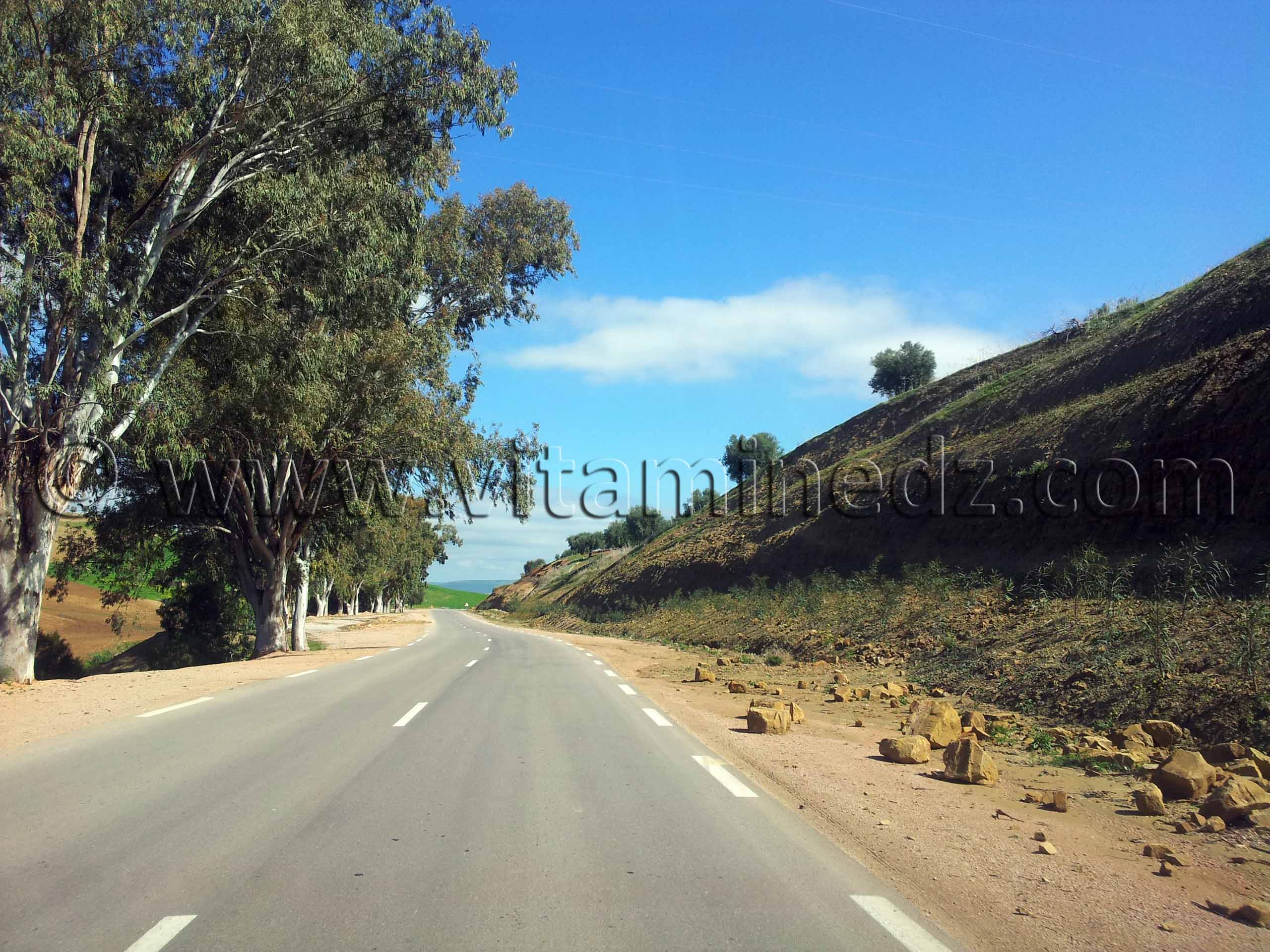 Tlemcen- RN2 Commune de Amieur