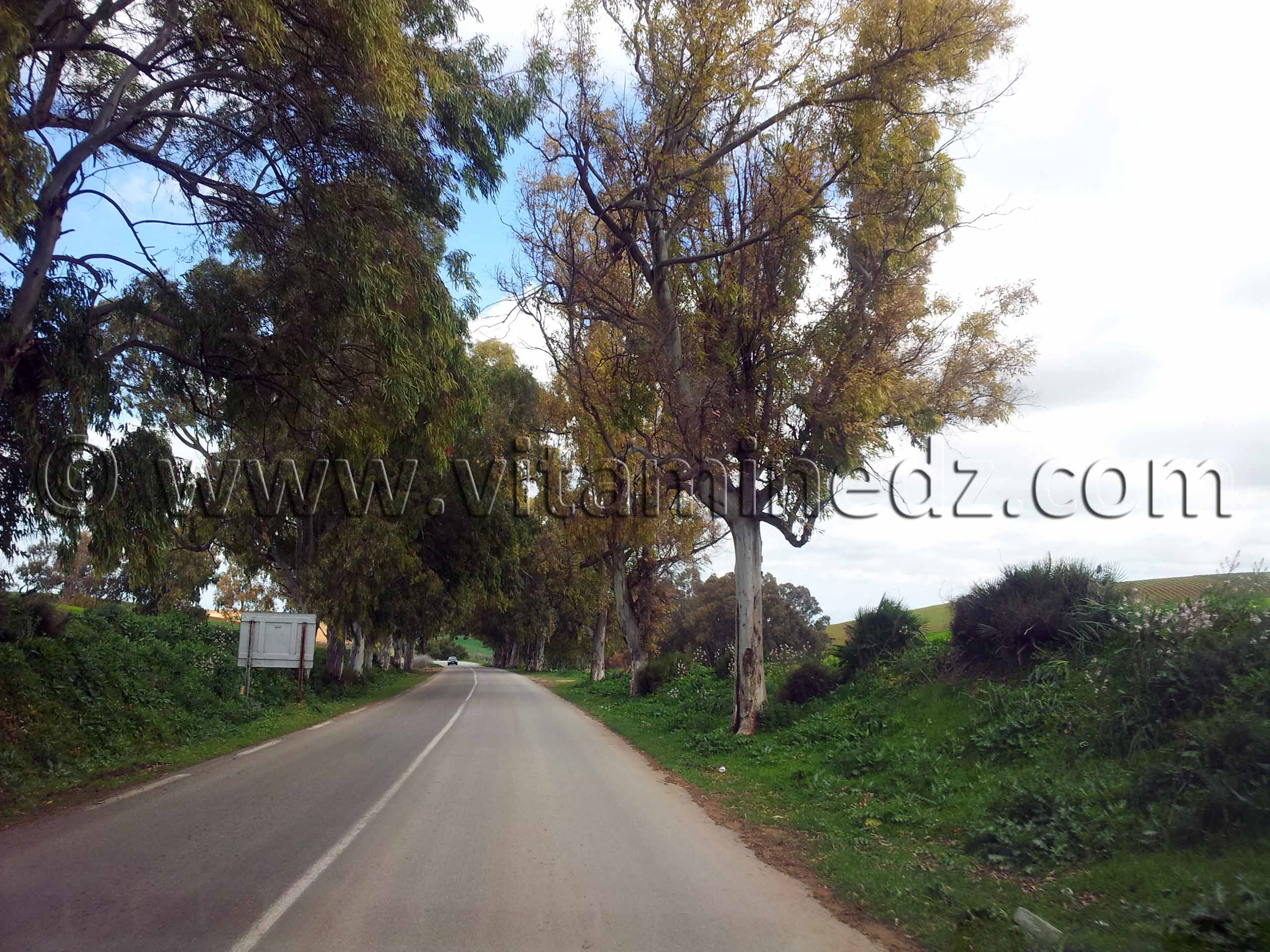 RN2 Tlemcen - Commune de Bensekrane