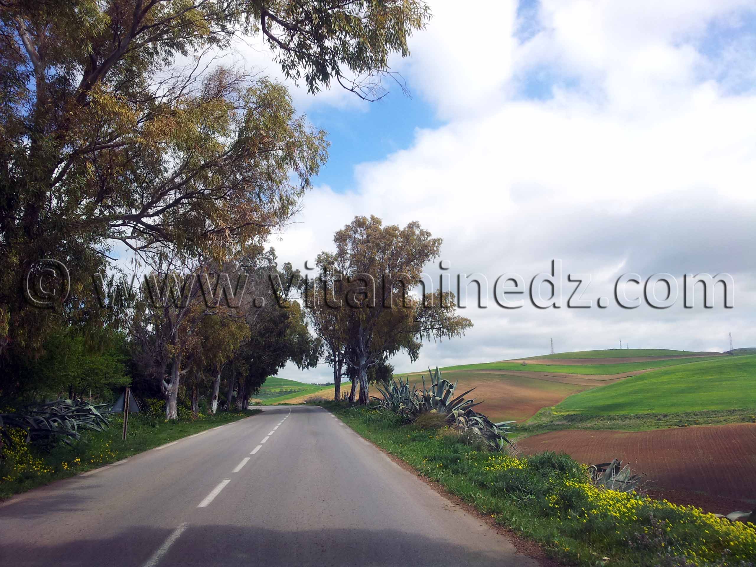 RN2 Tlemcen - ancienne route d'Oran, Commune de Bensekrane