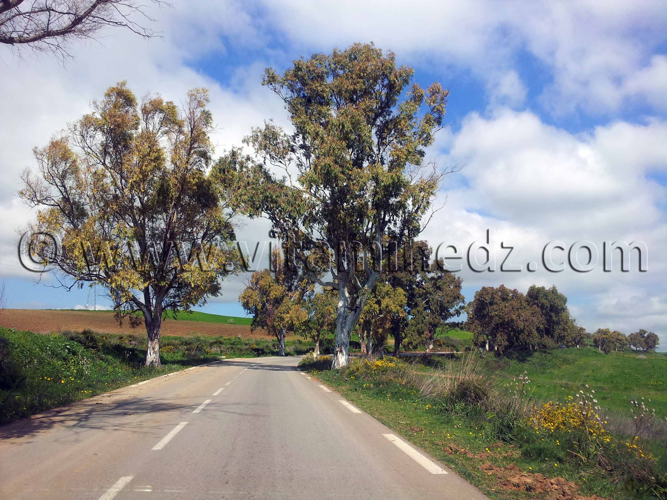 RN2 Tlemcen - Commune de Bensekrane