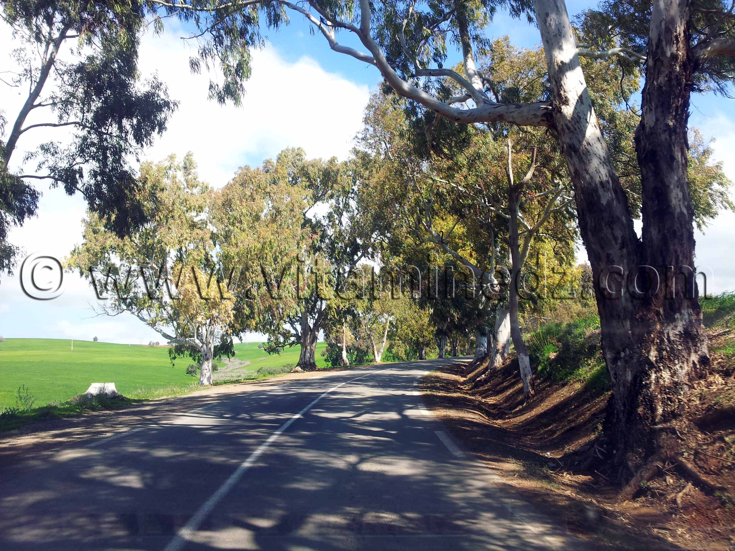 RN2 Tlemcen - Commune de Bensekrane