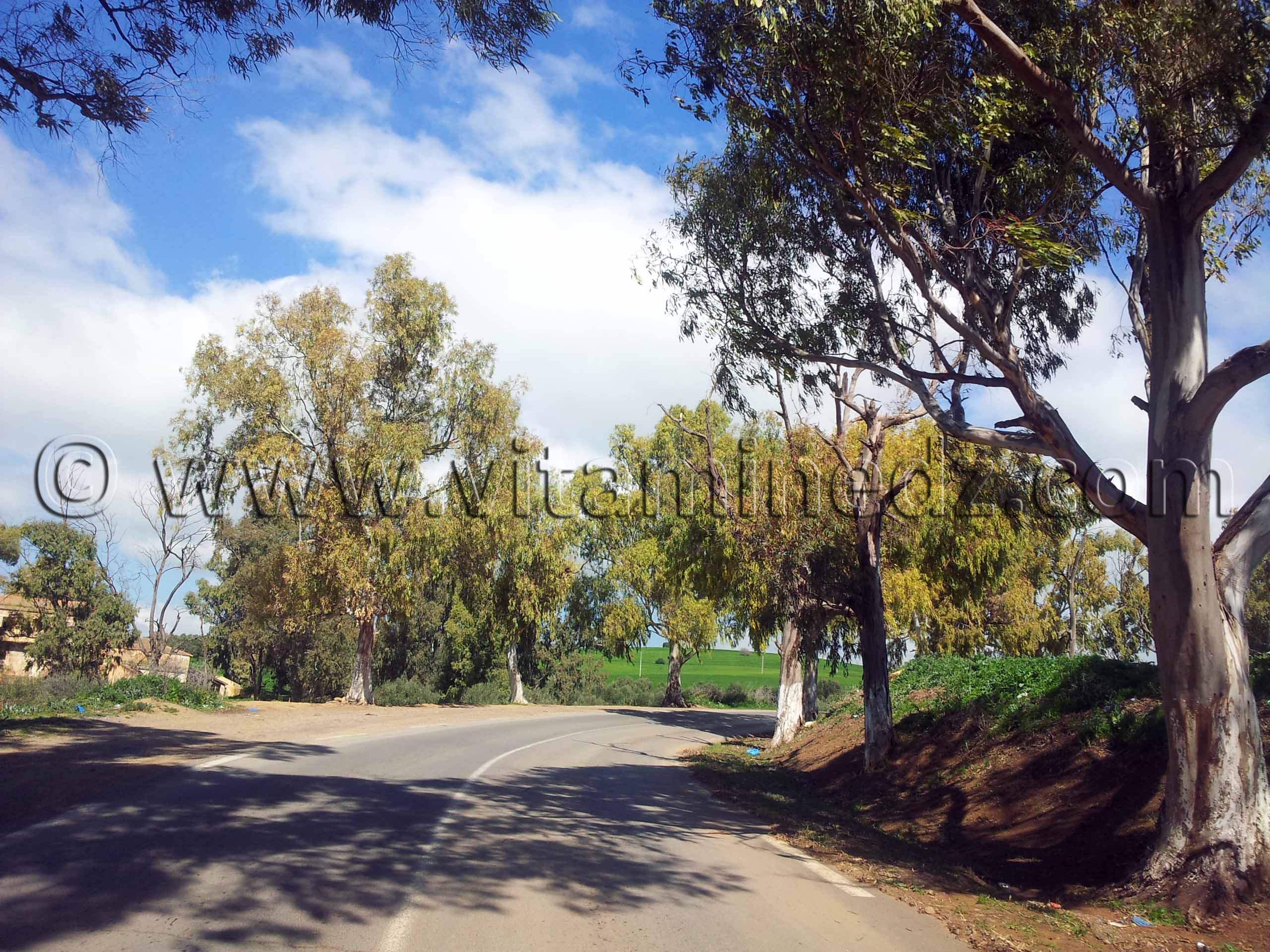 RN2 Tlemcen - Commune de Bensekrane