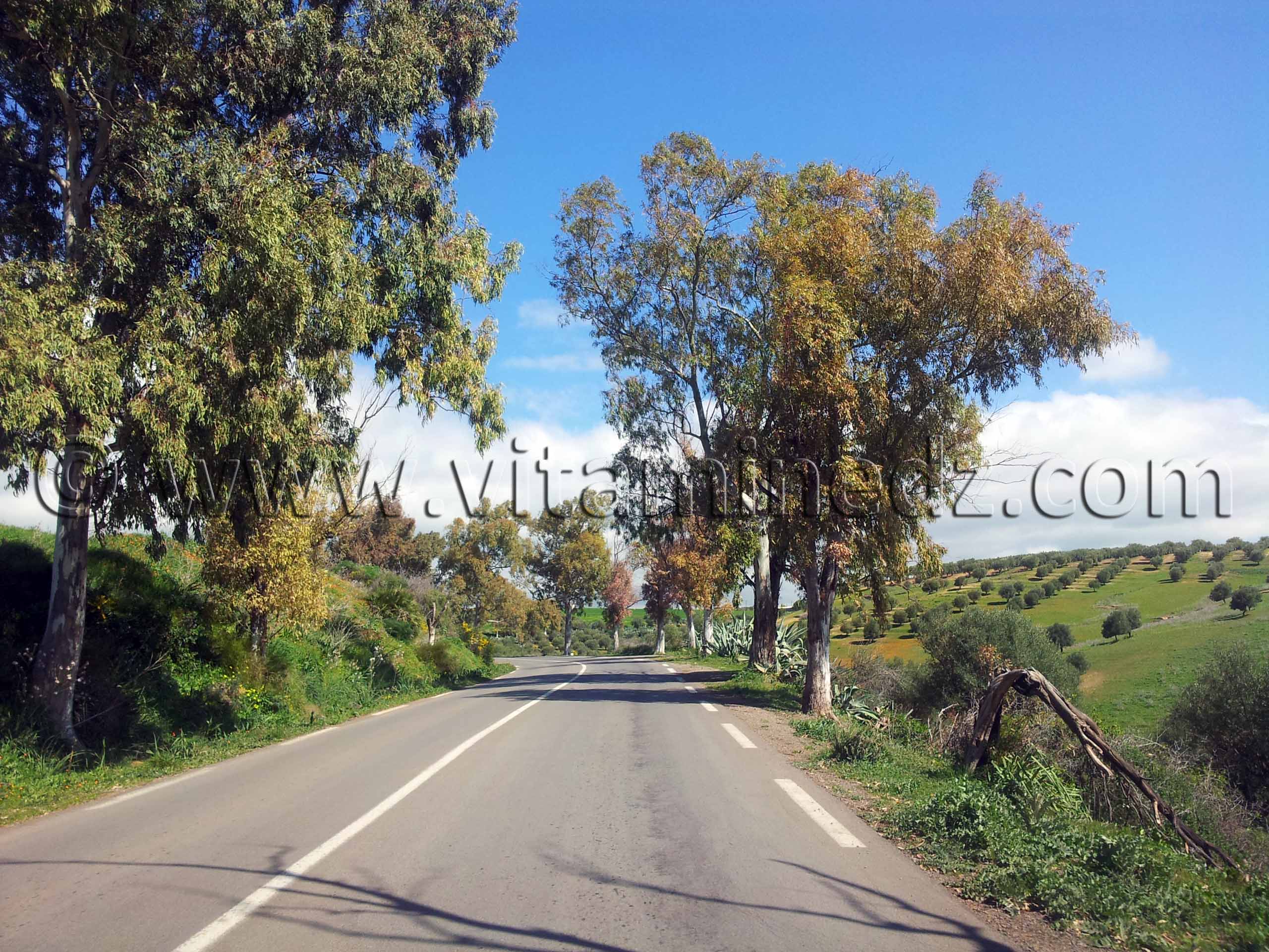 RN2 Tlemcen - Commune de Bensekrane