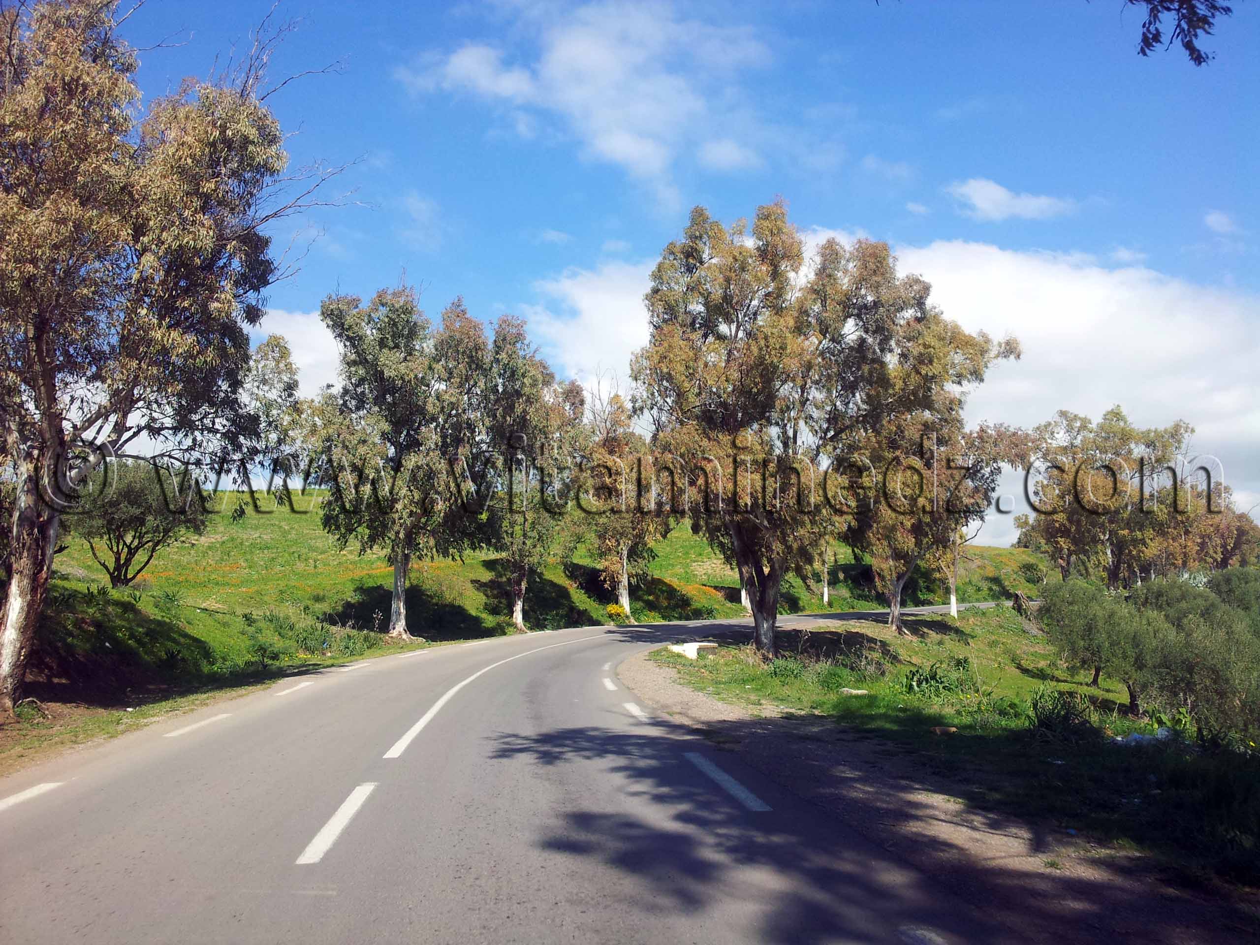 RN2 Tlemcen - Commune de Bensekrane