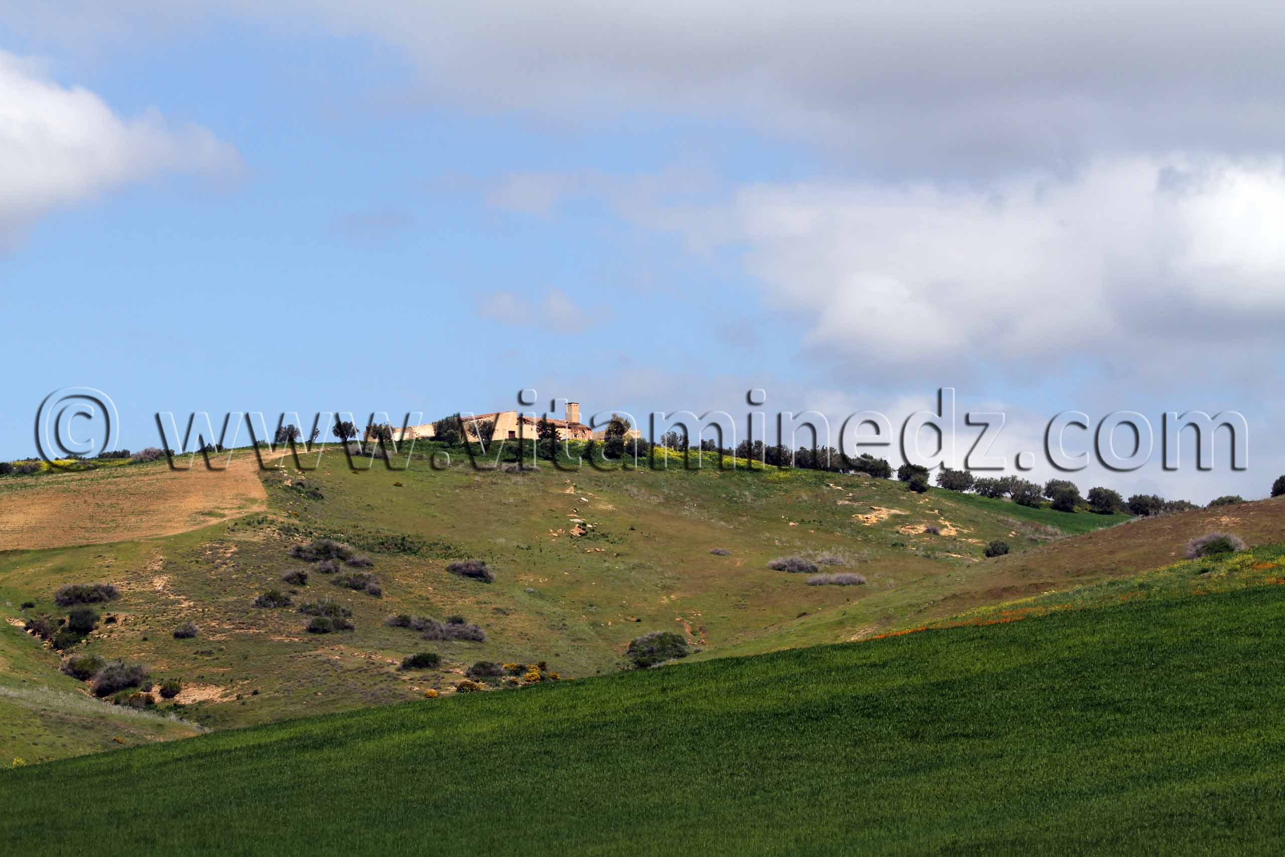 RN2 Tlemcen - Commune de Bensekrane