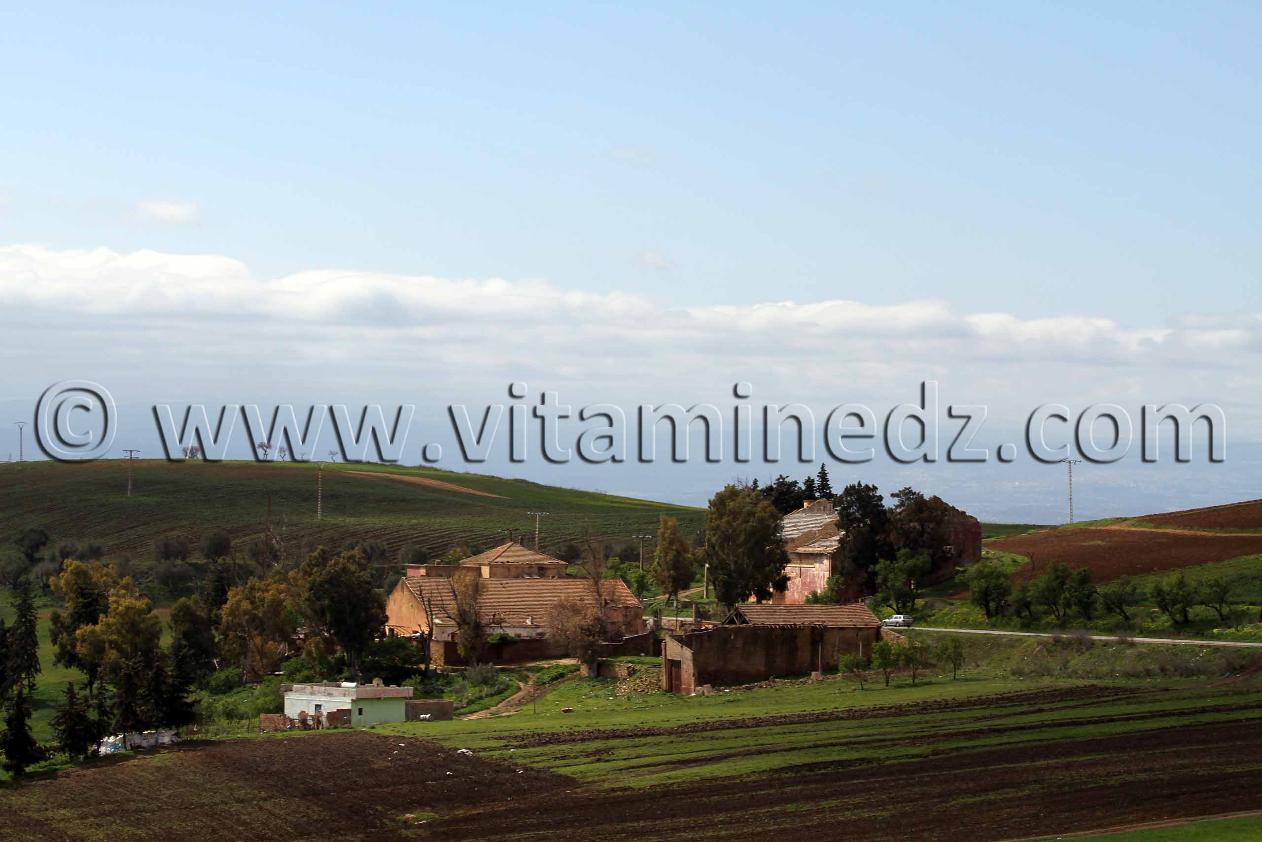 Ain Temouchent - Ferme coloniale Commune Ain Kihal (Ain Kial)