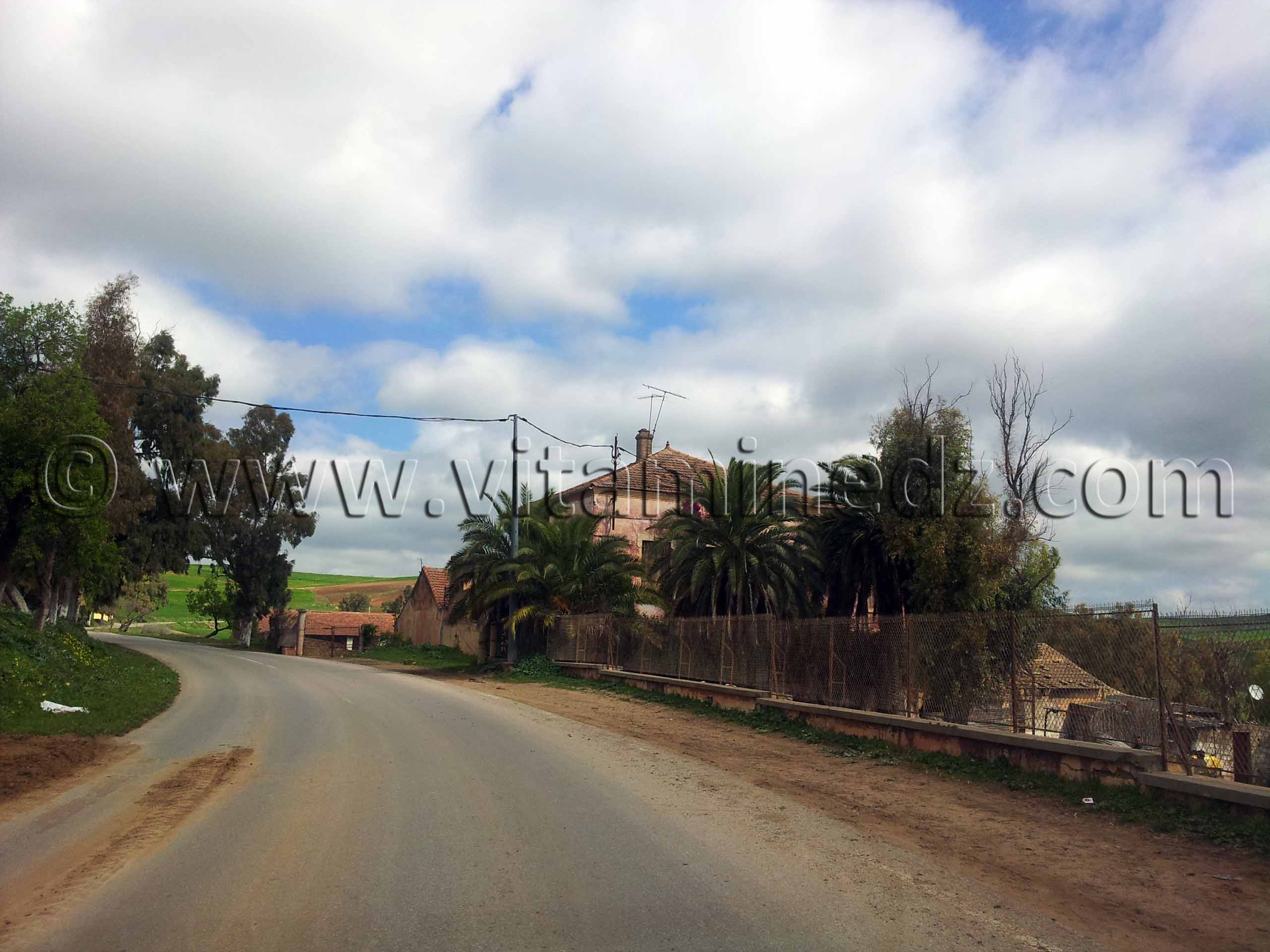 Ain Temouchent - Ferme coloniale Commune Ain Kihal (Ain Kial)