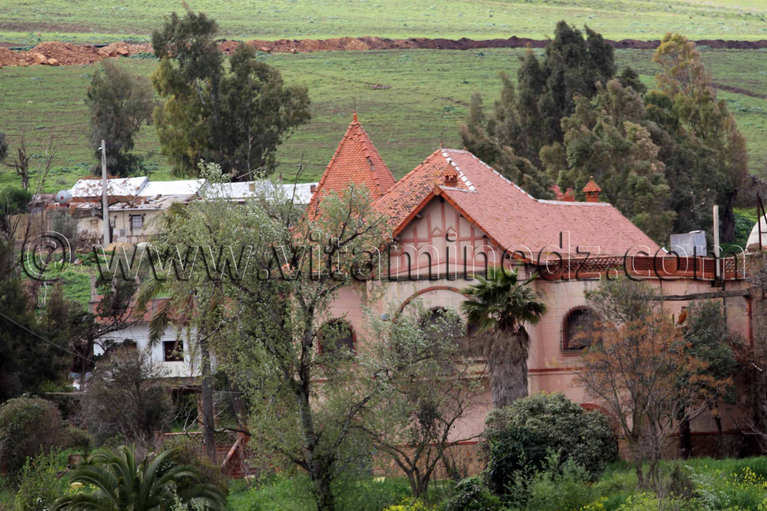 Ain Temouchent - Ferme coloniale Commune Ain Kihal (Ain Kial)