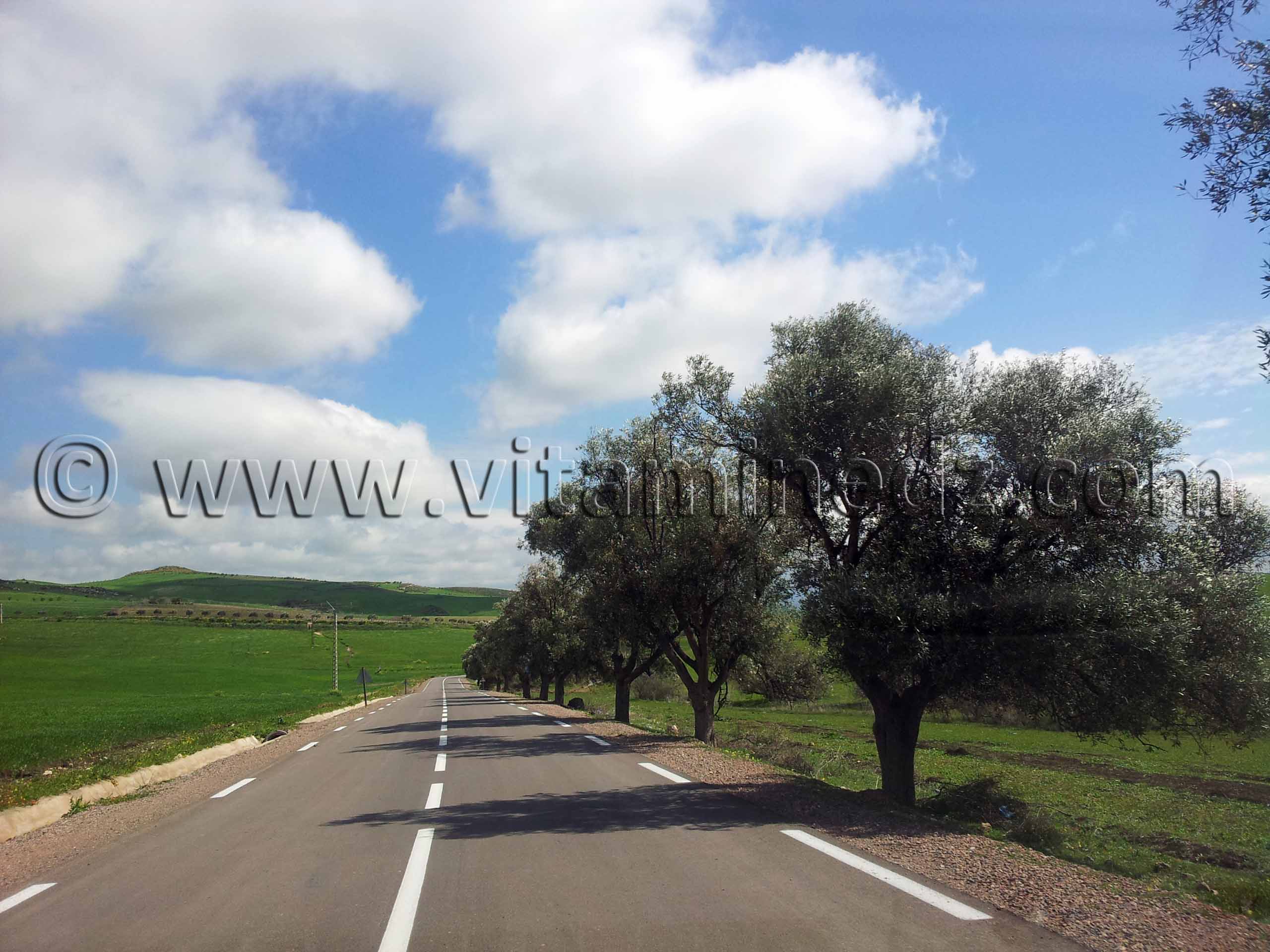 Ain Temouchent - Commune d'Aghlal