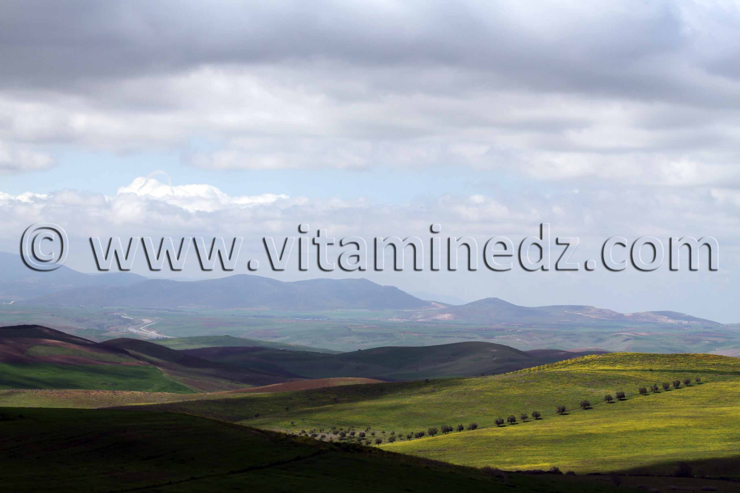 Ain Temouchent - Commune de Aoubellil (عقب الليل)