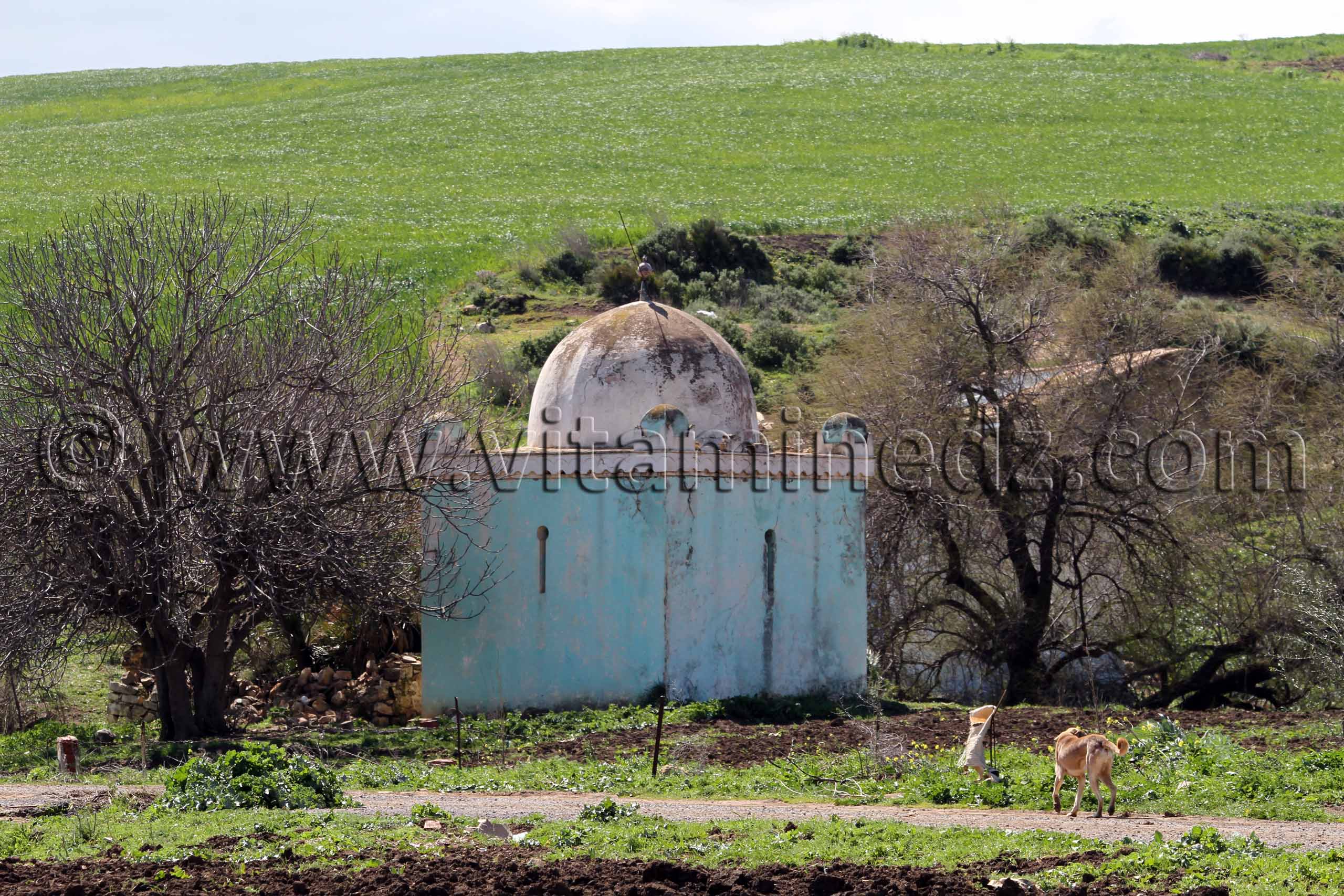 Ain Temouchent - Marabout, Commune de Aoubellil (عقب الليل)