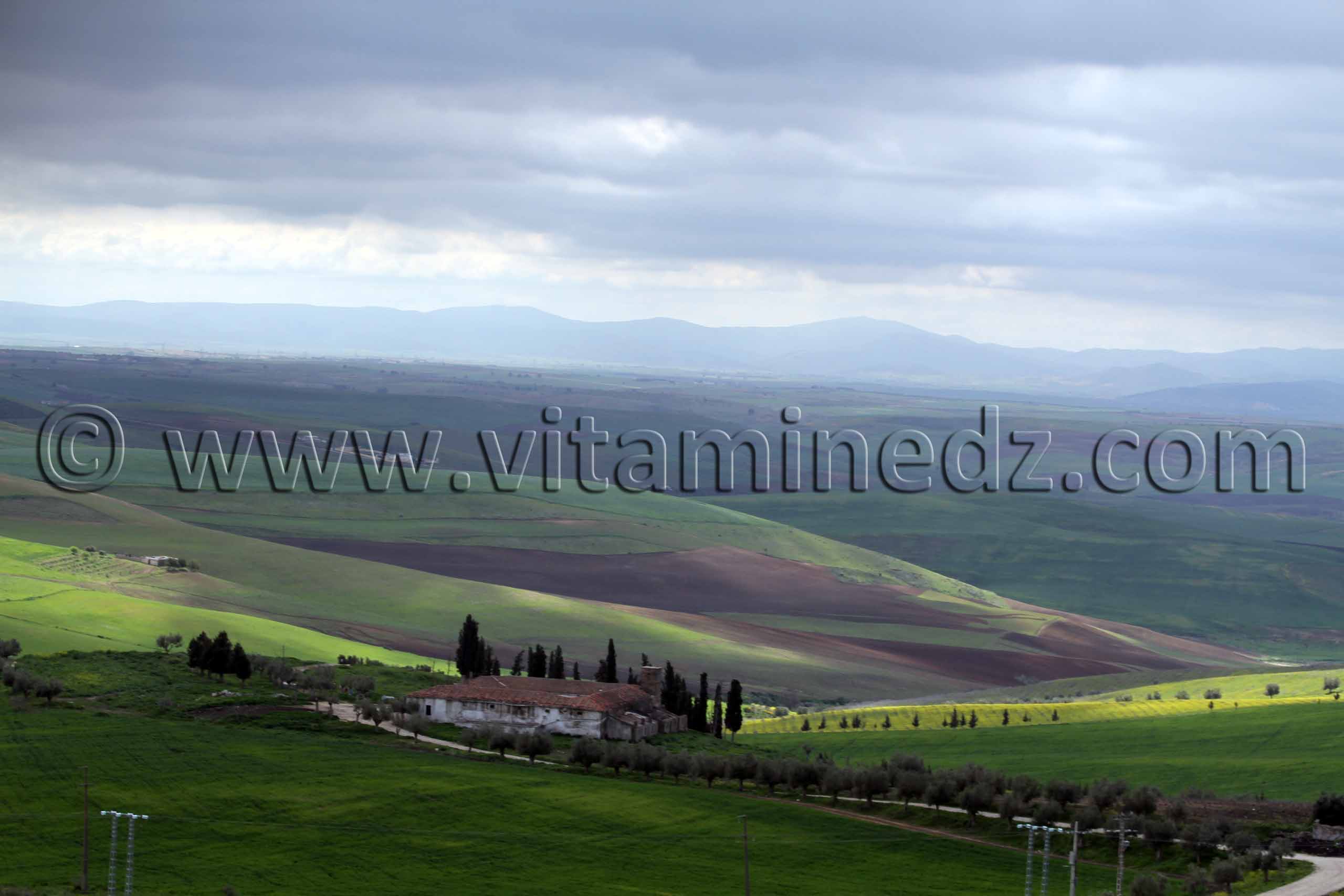 Ain Temouchent - Commune de Aoubellil (عقب الليل)