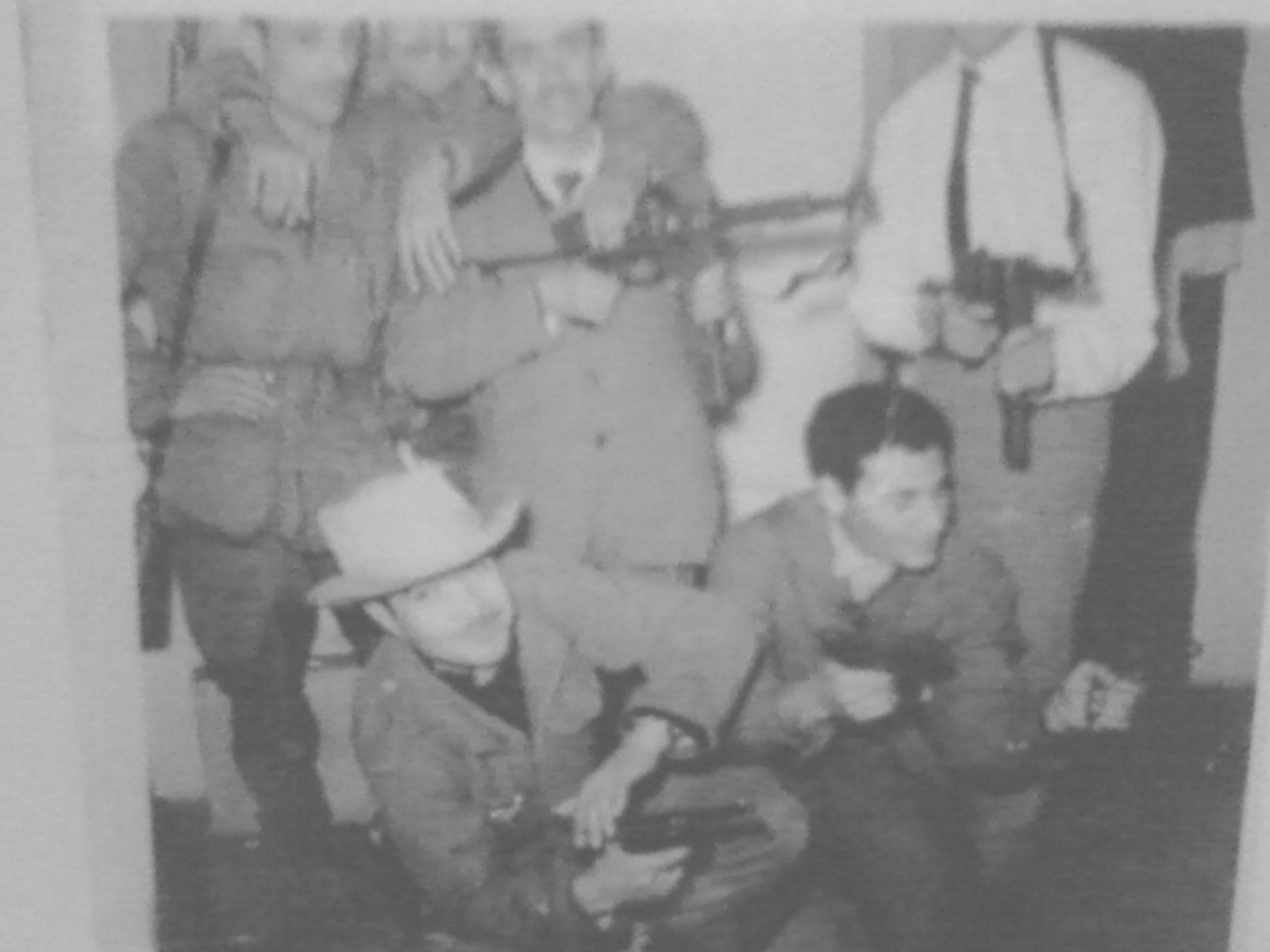 moudjahed driouche mouhamed du plm el harrach