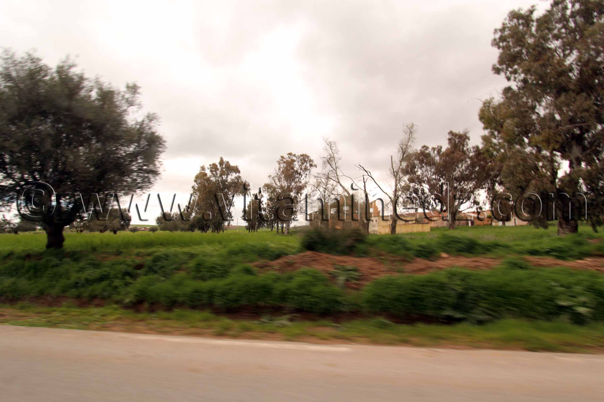 Sidi Bel Abbes - Ferme coloniale Commune Sidi Dahou des Zairs