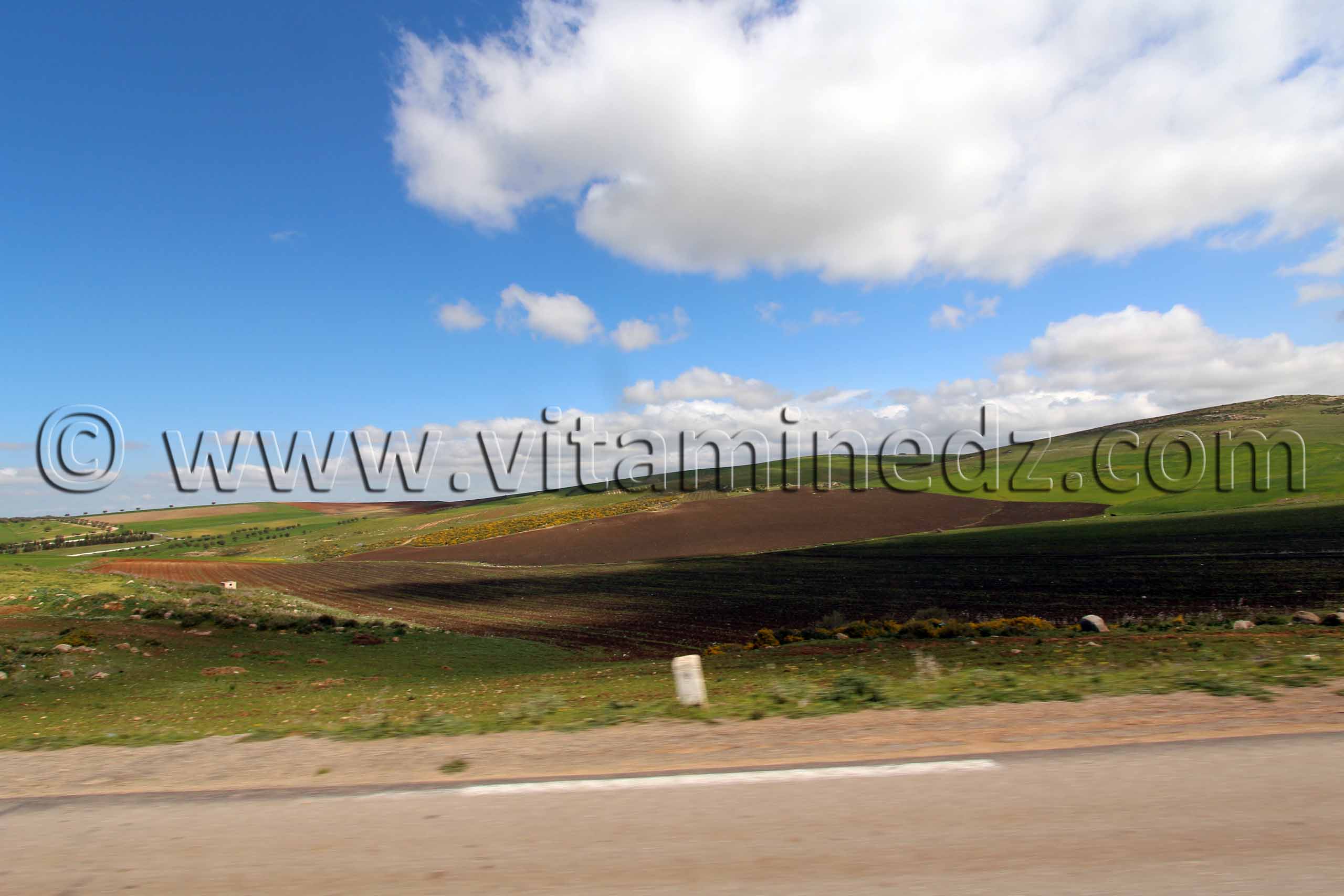 Sidi Bel Abbes - Commune Sidi Dahou des Zairs