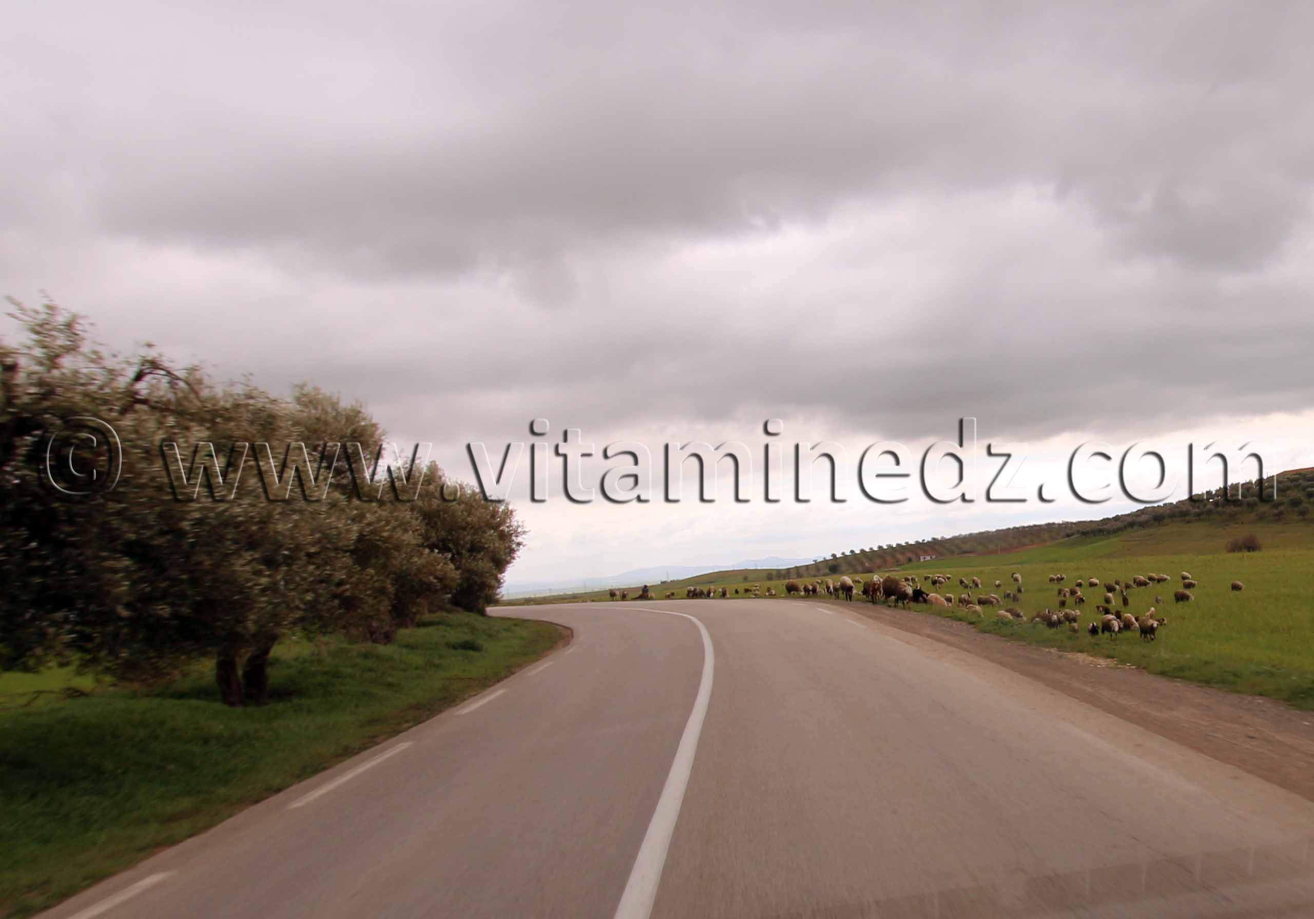 Sidi Bel Abbes - Commune Sidi Ali Boussidi