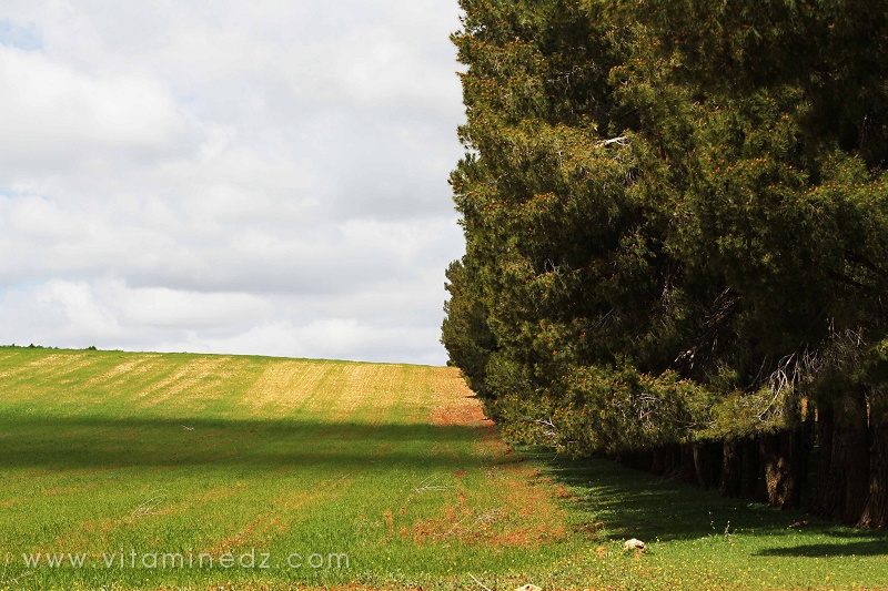 La nature, des espaces à vivre