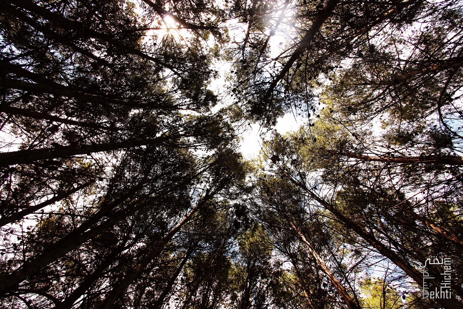 La nature, des espaces à vivre