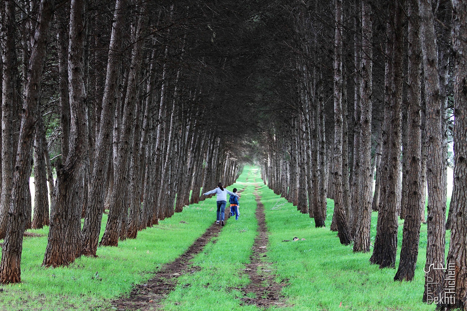 Les enfants dans la nature, comme des poissons dans l'eau