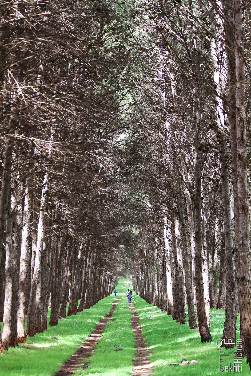 La nature, des espaces à vivre