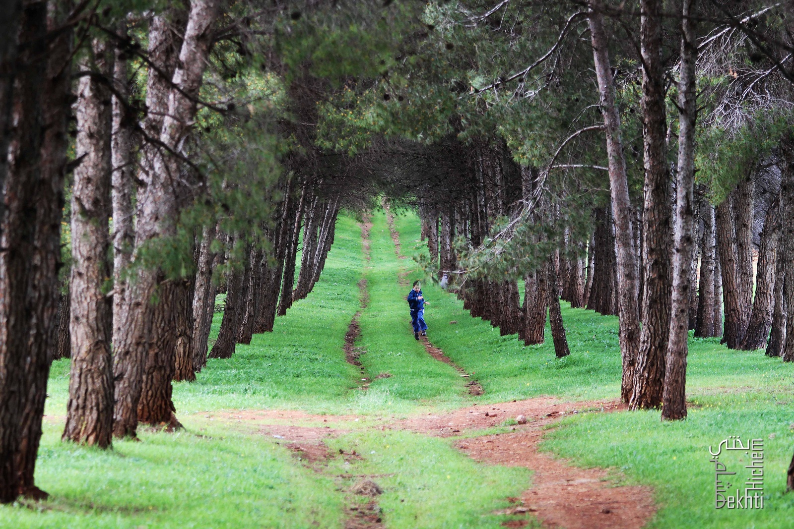 La nature, des espaces à vivre